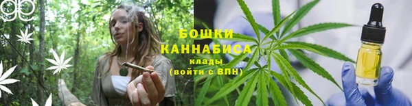бошки Долгопрудный