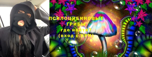 бошки Долгопрудный