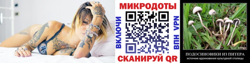 Псилоцибиновые грибы GOLDEN TEACHER  Ардон 